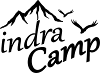 لوگوی برند